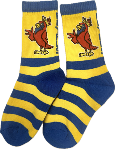 CHES Socks $10